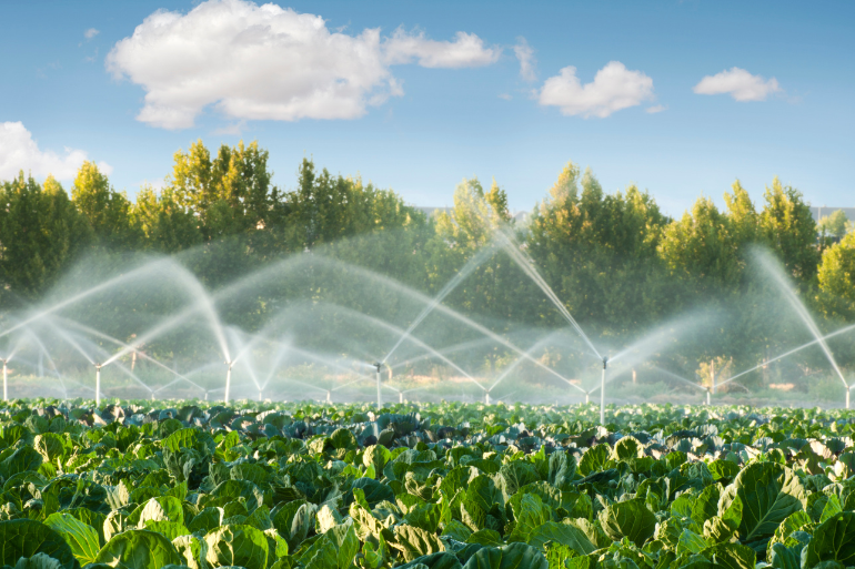 Overhead Irrigation 